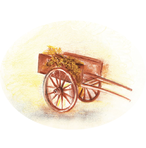 Azienda Agricola Negro Maria Luigina