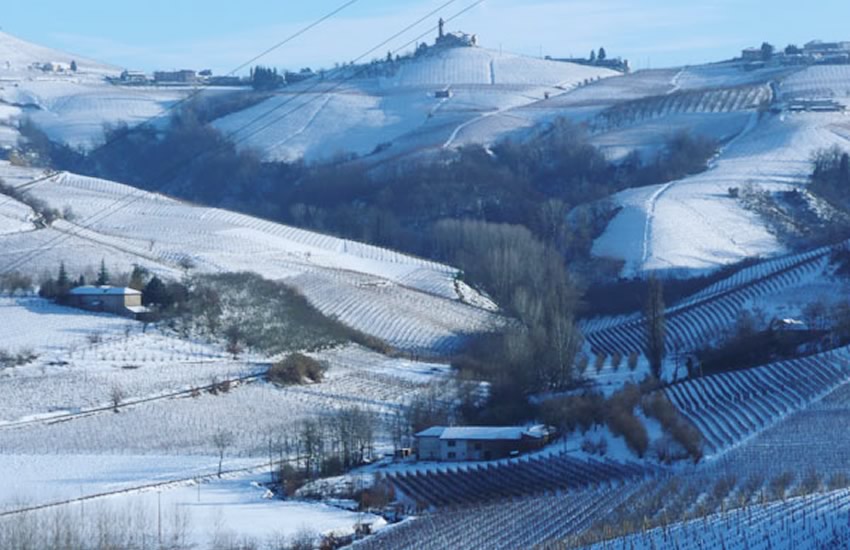 Azienda e storia.