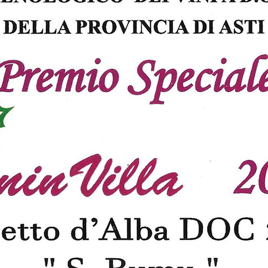 Vininvilla 2019 - Dolcetto d'Alba D.O.C. 2017 "S. Rumu".